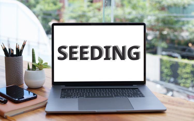 Seeding là gì?